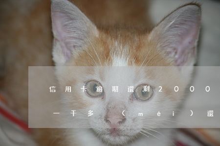 信用卡逾期還剩2000-信用卡逾期還剩一千多沒(méi)還能協(xié)商嗎