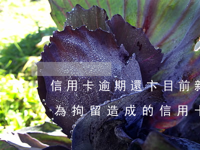 信用卡逾期還卞目前新規(guī)定-因為拘留造成的信用卡逾期