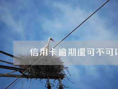 信用卡逾期還可不可以繼續(xù)使用