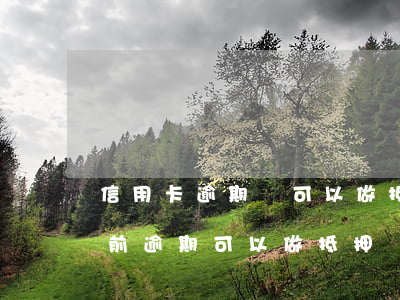 信用卡逾期還可以做抵押嗎(當(dāng)前逾期可以做抵押嗎)