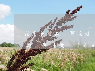 信用卡逾期還可以做擔(dān)保嗎(有逾期還可以做擔(dān)保人嗎)
