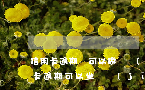 信用卡逾期還可以做飛機(jī)嗎(有信用卡逾期可以坐飛機(jī)嗎)