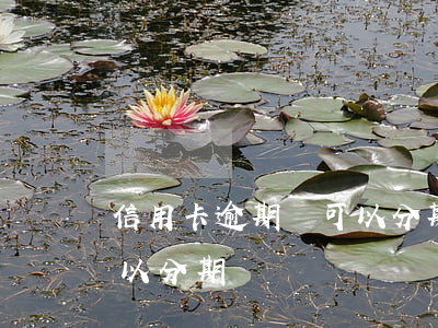 信用卡逾期還可以分期還嗎(信用卡逾期還可以分期還嗎)