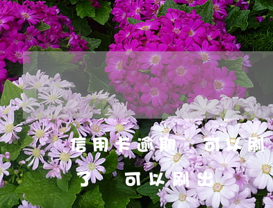 信用卡逾期還可以刷嗎6(信用卡逾期五天還了還可以刷出來嗎)