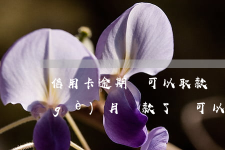 信用卡逾期還可以取款嗎(信用卡逾期一個(gè)月還款了還可以取現(xiàn)嗎?)
