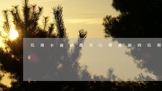 信用卡逾期還可以帶(逾期的信用卡能代還嗎)