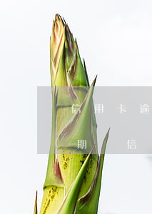 信用卡逾期還可以循環(huán)還款(逾期還信用卡的后果)