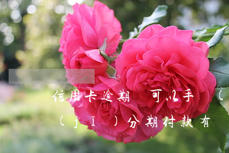 信用卡逾期還可以手機(jī)分期嗎(手機(jī)分期付款有過(guò)逾期 還可以分期嗎?)