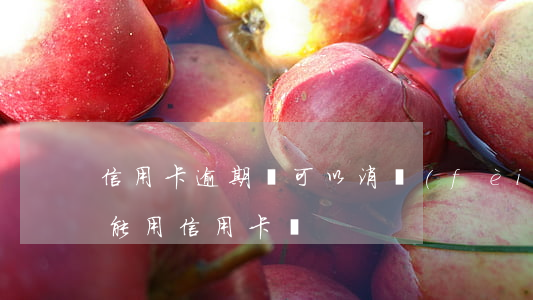 信用卡逾期還可以消費(fèi)嗎(逾期還能用信用卡嗎)