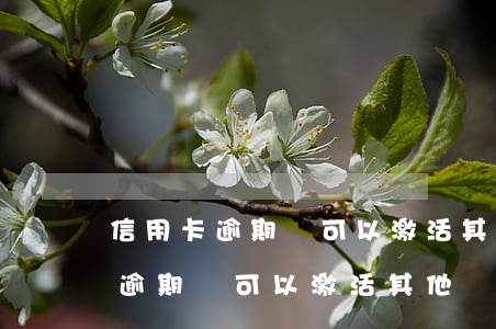 信用卡逾期還可以激活其他銀行嗎-信用卡逾期還可以激活其他銀行嗎安全嗎