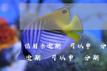 信用卡逾期還可以申請分期還款嗎-信用卡逾期還可以申請分期還款嗎?