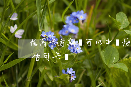 信用卡逾期還可以申請捷信(逾期了還能申請信用卡嗎)