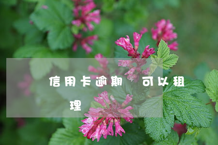 信用卡逾期還可以租車嗎(租車逾期不還怎么處理)