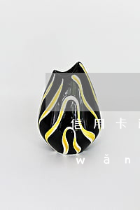 信用卡逾期還可以網(wǎng)貸么(網(wǎng)貸逾期還可以申請信用卡嗎)