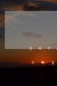 信用卡逾期還可以自動購匯嗎(信用卡逾期還可以自動購匯嗎微信)