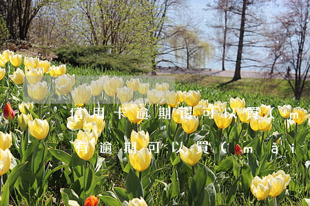 信用卡逾期還可以買(mǎi)社保嗎(征信有逾期可以買(mǎi)社保嗎?)
