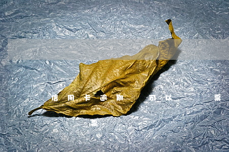 信用卡逾期還可以買機票嗎(征信逾期半年能訂機票嗎)