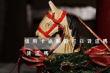 信用卡逾期還可以貸還嗎(信用卡逾期還可以貸還嗎)
