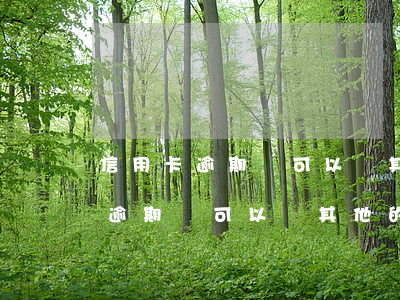 信用卡逾期還可以辦其他的信用卡-信用卡逾期還可以辦其他的信用卡嗎