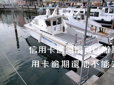 信用卡逾期還可以辦其他銀行的嗎 如果有信用卡逾期還能不能去其他銀行貸款