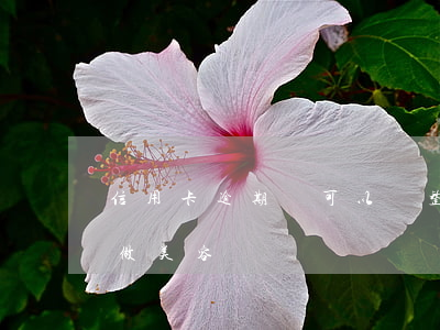 信用卡逾期還可以辦整形貸款嗎-逾期可以做美容貸嗎
