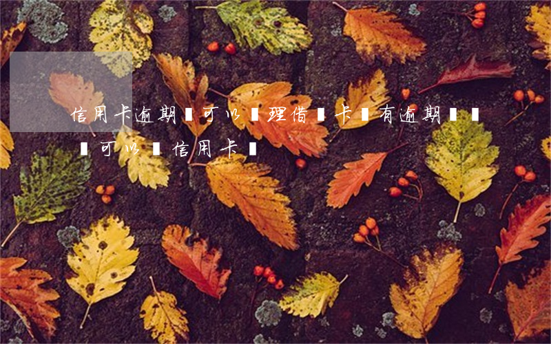 信用卡逾期還可以辦理借記卡嗎(有逾期記錄還可以辦信用卡嗎)