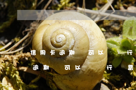 信用卡逾期還可以辦銀行儲蓄卡嗎-信用卡逾期還可以辦銀行儲蓄卡嗎