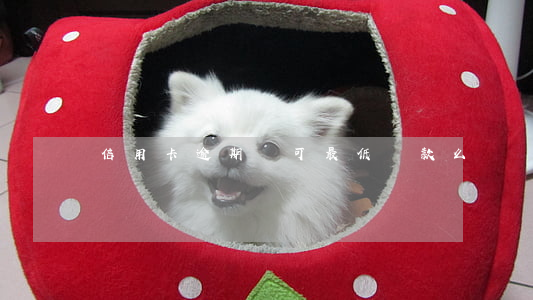 信用卡逾期還可最低還款么