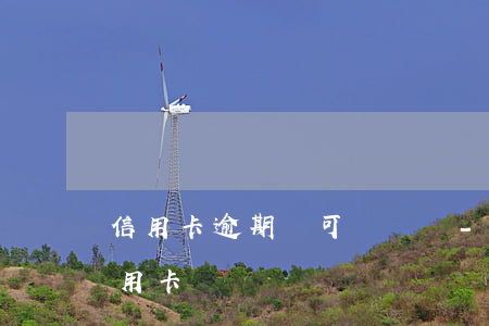 信用卡逾期還可簽證嗎-有過逾期能申請信用卡