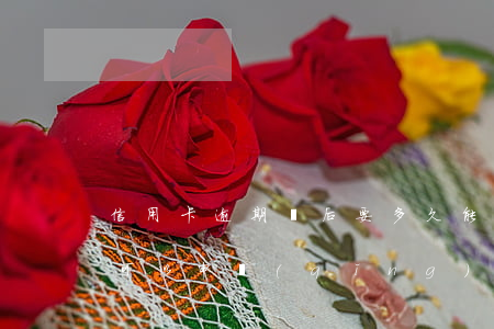 信用卡逾期還后要多久能貸款(逾期之后多久可以申請(qǐng)信用卡)