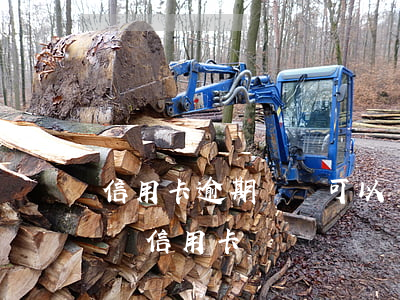 信用卡逾期還唄可以辦嗎(借唄有過逾期可以辦信用卡嗎)