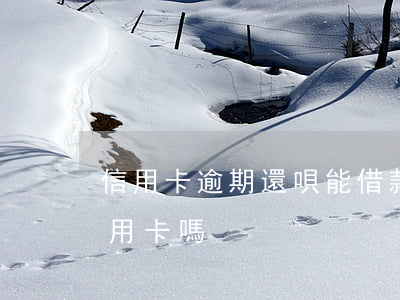 信用卡逾期還唄能借款嗎(借唄逾期能申請信用卡嗎)