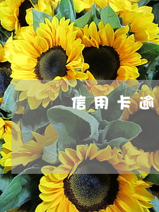 信用卡逾期還唄能借錢么(借唄和信用卡逾期)
