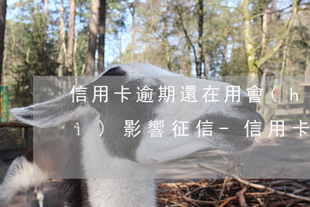信用卡逾期還在用會(huì)不會(huì)影響征信-信用卡逾期還在用會(huì)不會(huì)影響征信記錄