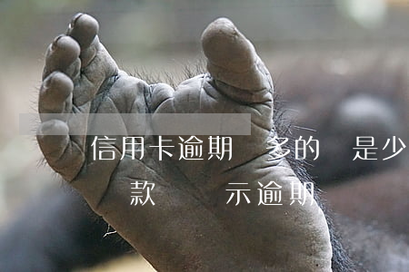信用卡逾期還多的還是少的(信用卡還了最低還款還顯示逾期)