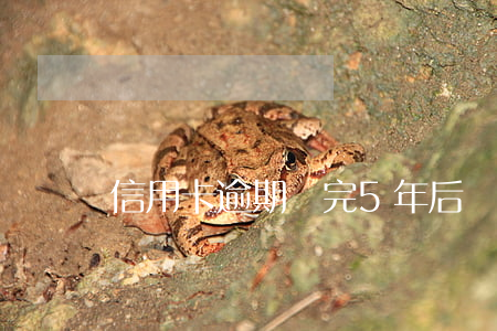 信用卡逾期還完5年后還能申請嗎