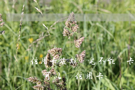 信用卡逾期還完不能開卡(信用卡逾期還清后還可以辦信用卡嗎)