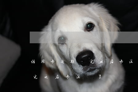 信用卡逾期還完之后卡注銷了(信用卡逾期還完之后卡注銷了)