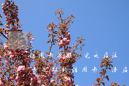 信用卡逾期還完之后注銷(xiāo)信用卡(逾期的信用卡還清后需要注銷(xiāo)嗎)