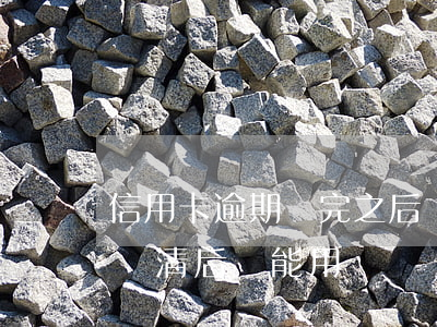 信用卡逾期還完之后還可以用(逾期的信用卡還清后還能用嗎)