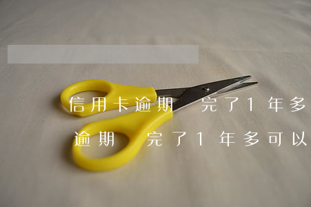 信用卡逾期還完了1年多可以用嗎-信用卡逾期還完了1年多可以用嗎怎么辦