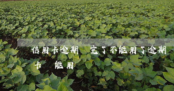 信用卡逾期還完了不能用了(逾期還清后信用卡還能用嗎)