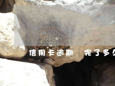 信用卡逾期還完了多久能貸款