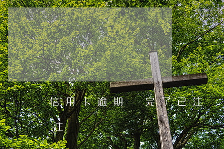 信用卡逾期還完了已注銷(信用卡逾期還清后注銷)