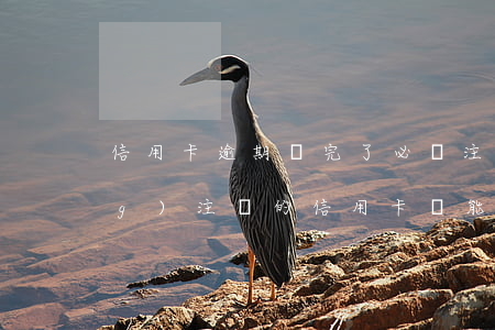 信用卡逾期還完了必須注銷嗎(已經(jīng)注銷的信用卡還能還款嗎)
