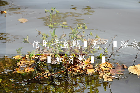 信用卡逾期還完了貸款(我信用卡逾期過還完了貸款有影響嗎)