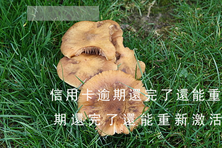 信用卡逾期還完了還能重新激活嗎(信用卡逾期還完了還能重新激活嗎)