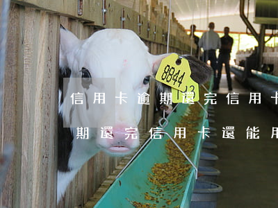 信用卡逾期還完信用卡還能用嗎-信用卡逾期還完信用卡還能用嗎