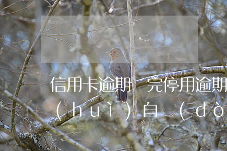信用卡逾期還完停用(逾期的信用卡還清后會(huì)自動(dòng)注銷嗎)