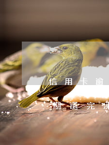 信用卡逾期還完凍結(jié)了(信用卡逾期還完凍結(jié)了)
